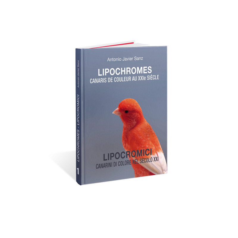 Lipochromes, Canaris de couleur au XXIè siècle