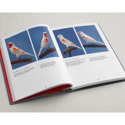 Lipochromes, Canaris de couleur au XXIè siècle