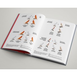 Lipochromes, Canaris de couleur au XXIè siècle