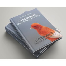 Lipochromes, Canaris de couleur au XXIè siècle