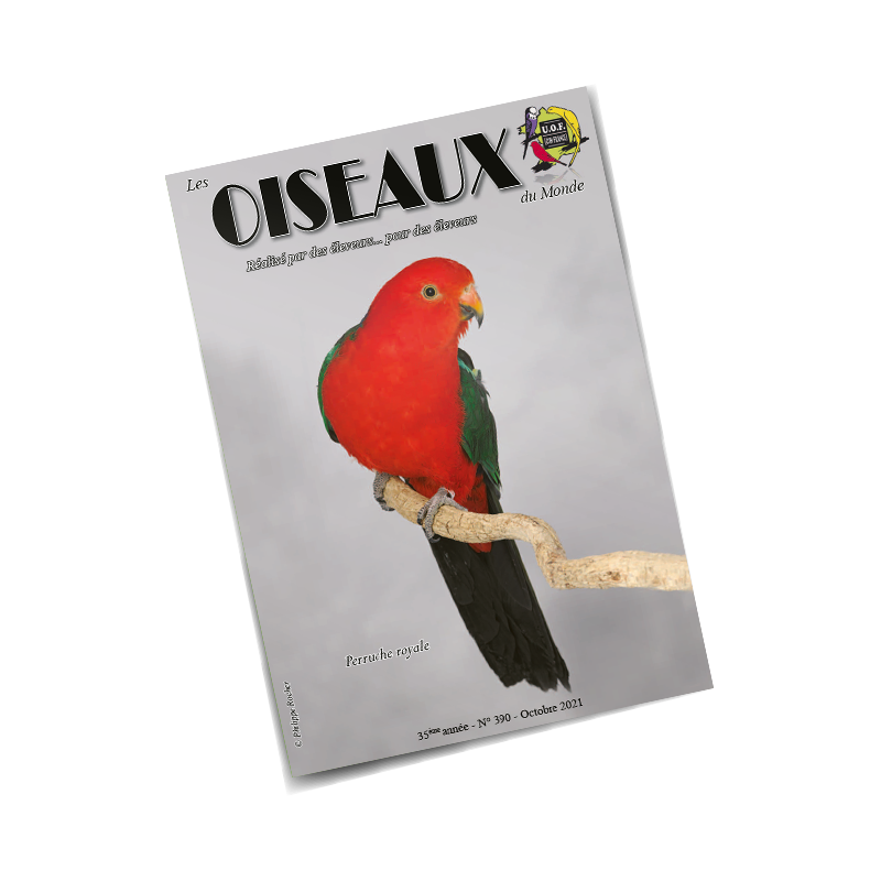 Les Oiseaux du Monde n°390 Les Oiseaux du Monde n°390