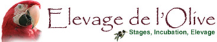 Elevage de l'Olive
