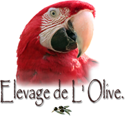 Elevage de l'Olive