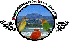 Diamant de gould