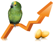 courbes de croissance pour psittacidés
